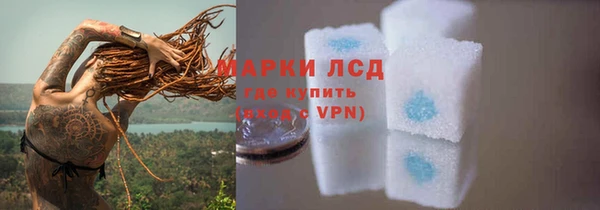 крисы Армянск