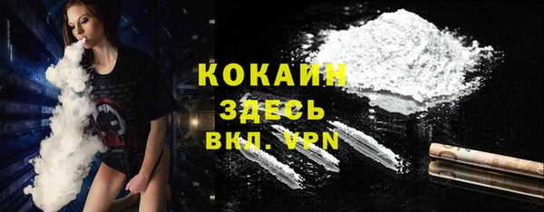 крисы Армянск