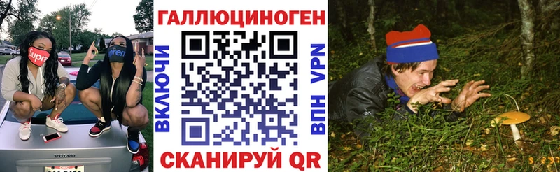 как найти   МЕГА зеркало  Псилоцибиновые грибы Psilocybine cubensis  Пролетарск 