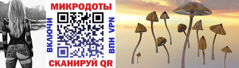 Галлюциногенные грибы Cubensis Пролетарск